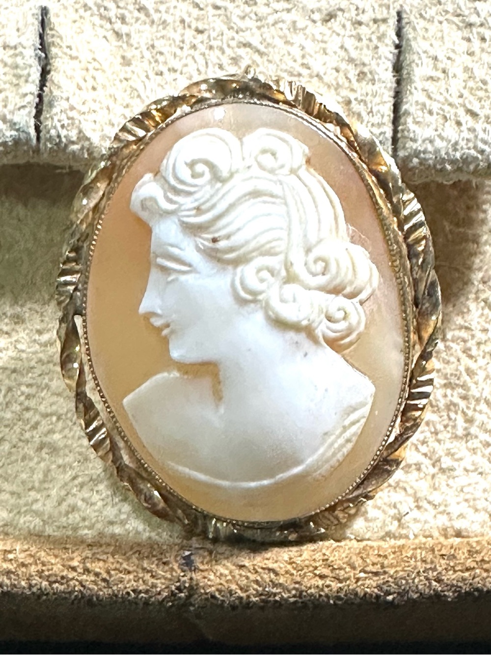 1/20 10K GF •• 1930’s Hand Carved Left Facing Cameo Brooch/Pendant & Necklace